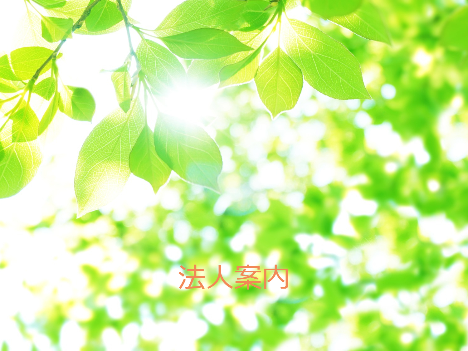 法人案内
