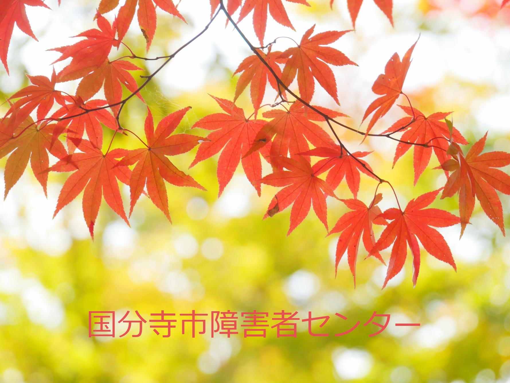 国分寺市障害者センター